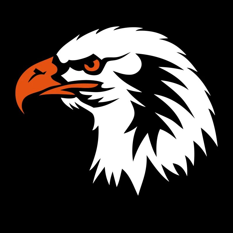 eagle head eagle drawing cartoon face 702