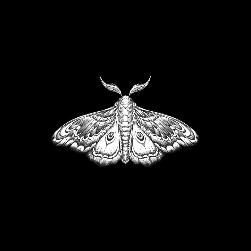 moth