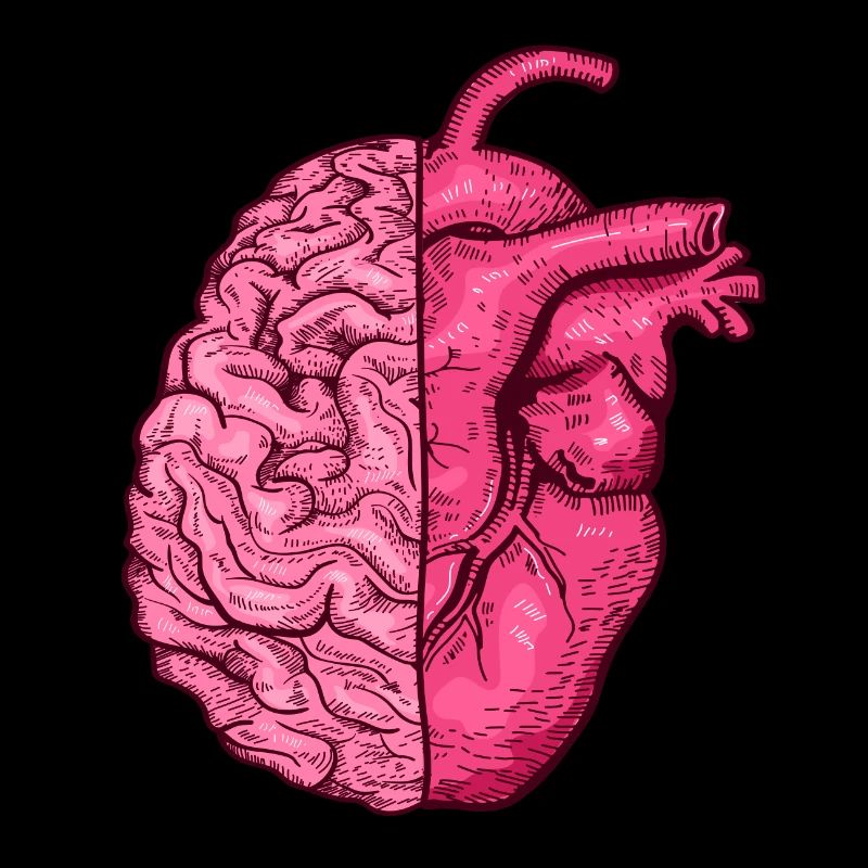 Heart vs. Brain head versus heart mind vs. heart