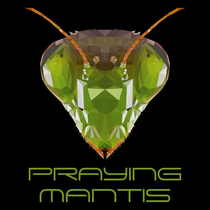 Mantis praying mantis polygon kids gift