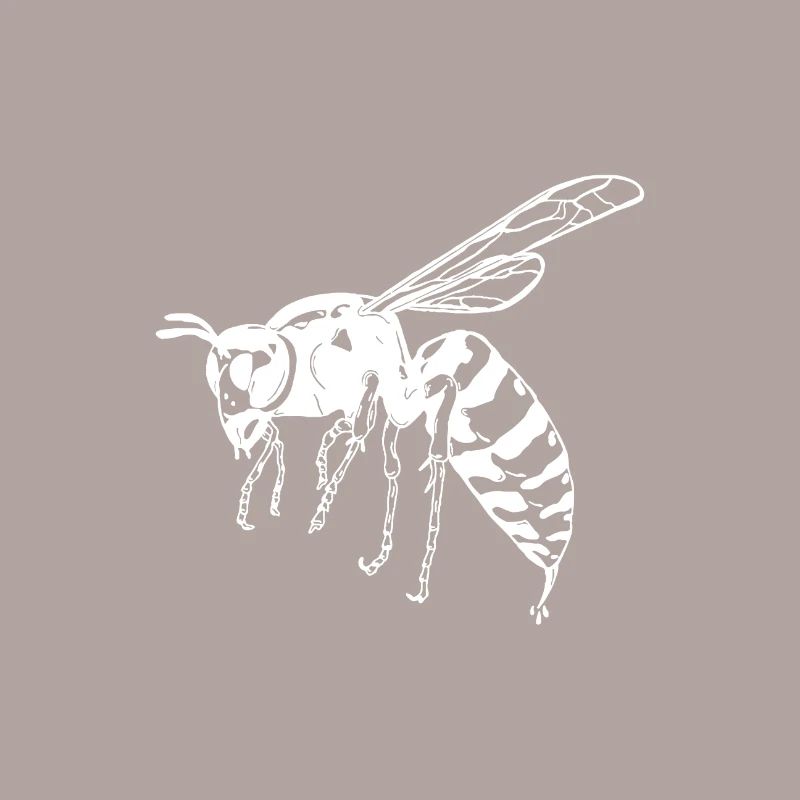 Wasp