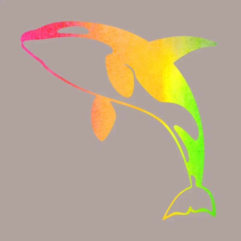 Rainbow Orca