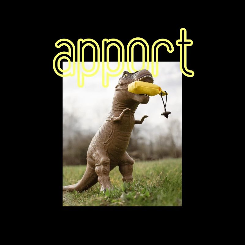dino's apport