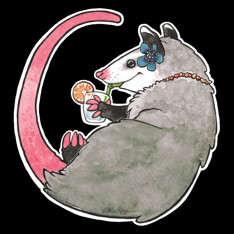 Opossum d'été
