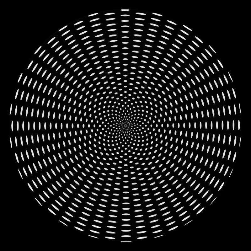 Optical Illusion Tunnel Gift