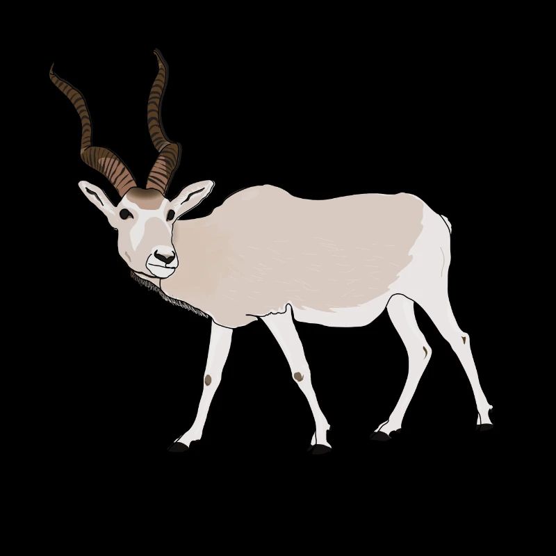 Gefährdete Arten addax Wüstenantilope