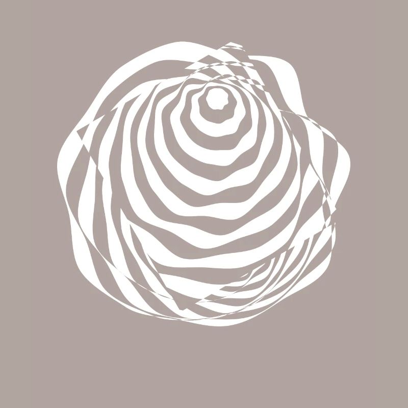 Illusion Illusion d’optique Perception