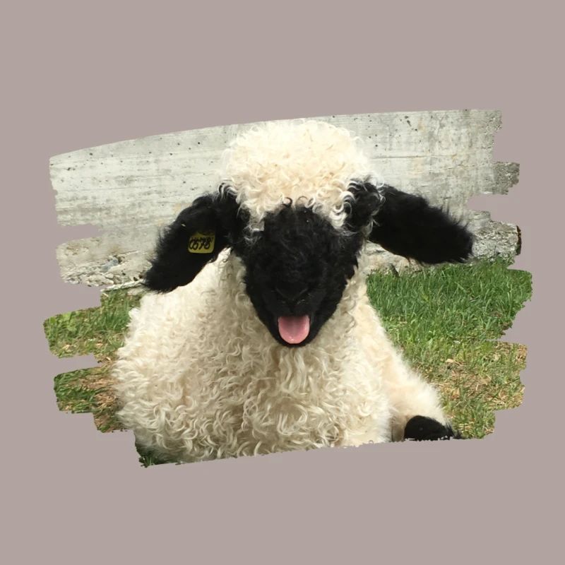 freches Lämmchen