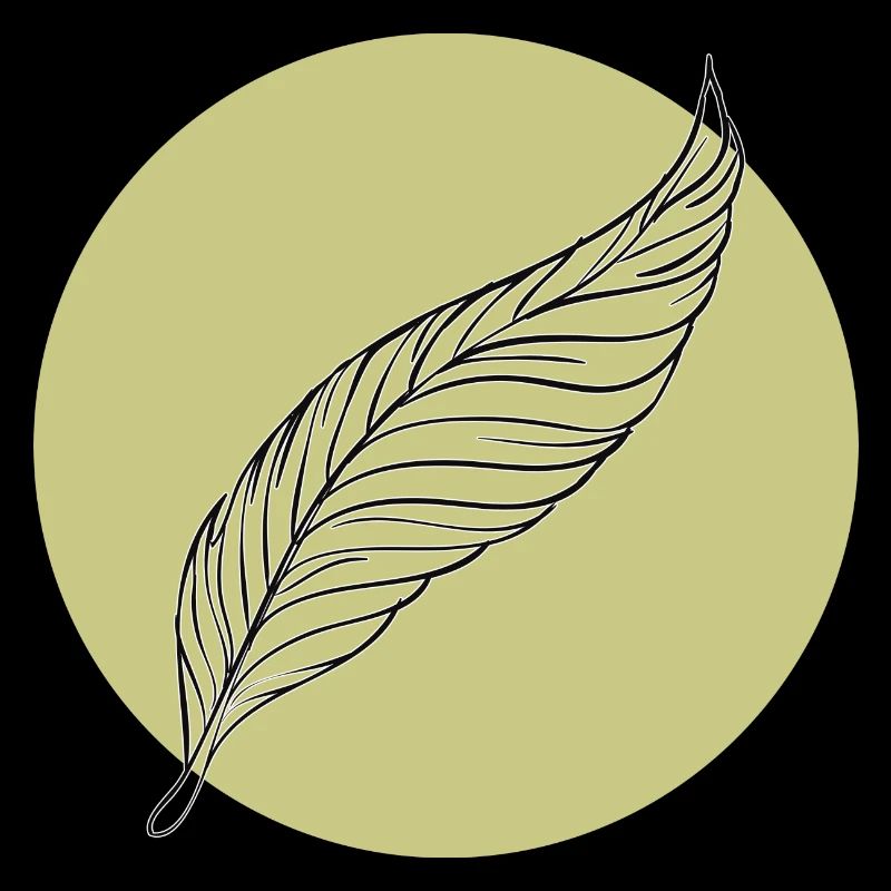 Minimal Feather Summer Trendy Colors