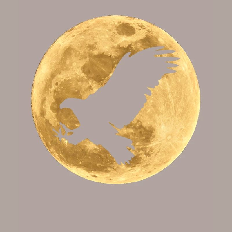 Eagle in the Moon Full Moon