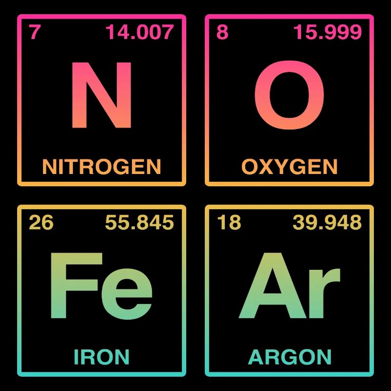 NO FEAR - avec des éléments du système de perdiode