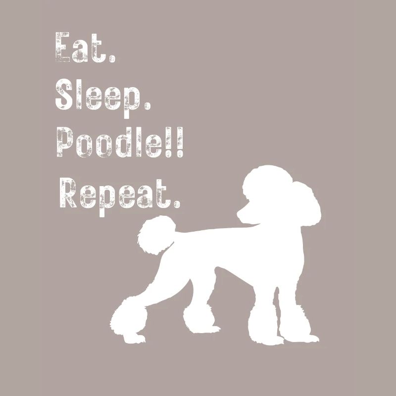 Drôle manger dormir caniche répéter