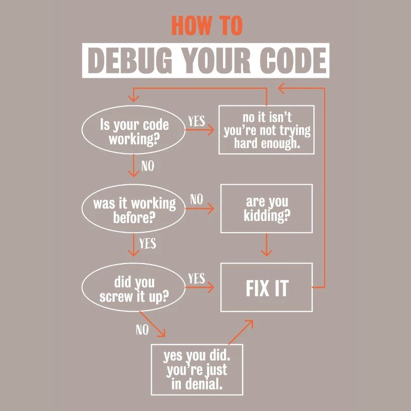 "Comment déboguer votre code" Funny Programmer Coding