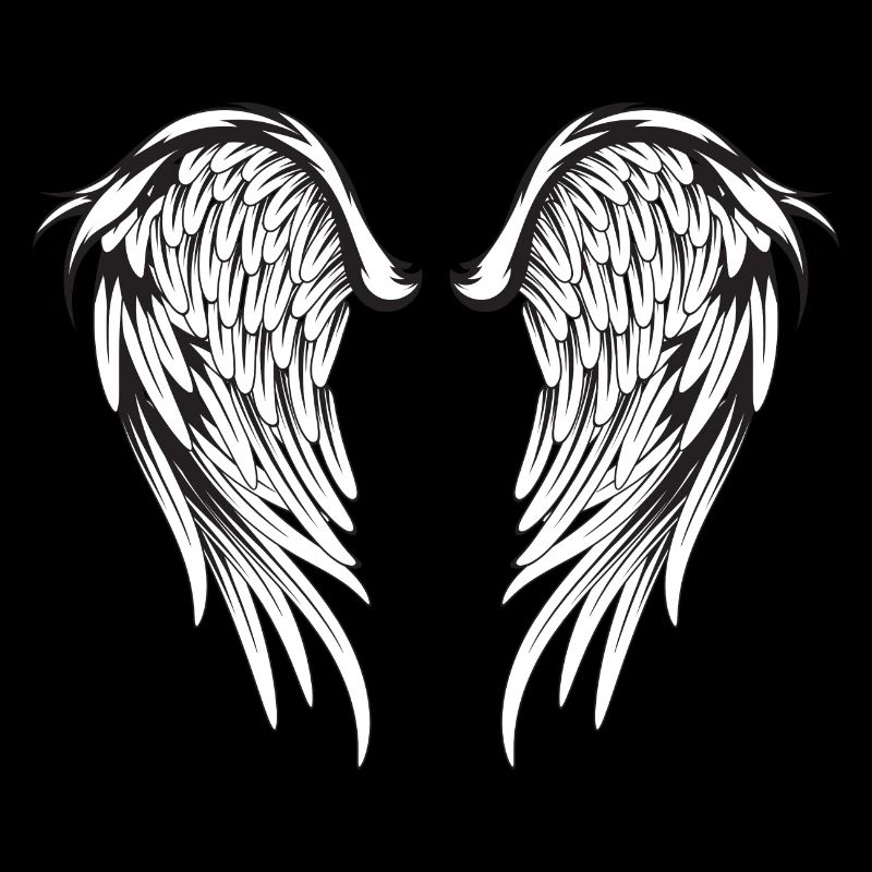 Ailes d'anges