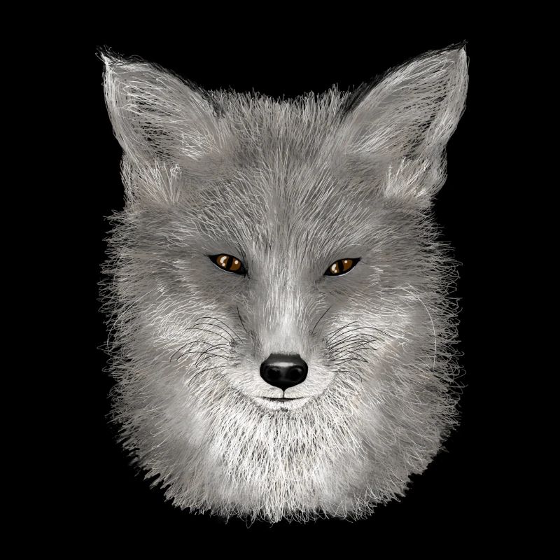 Red Fox
