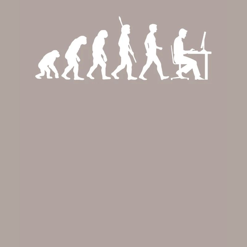 Évolution vers le programmeur informatique