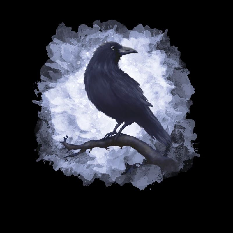 Rabe Krähe Goth