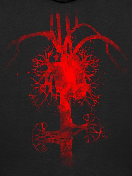 Bloodstream