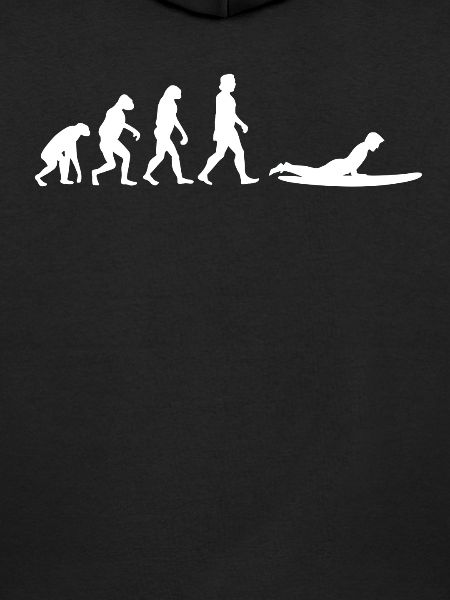 Surfen Evolution