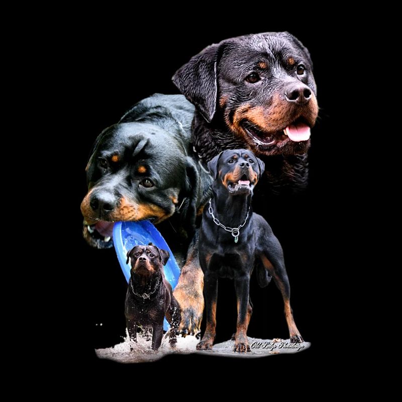 Hunde