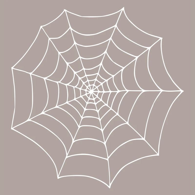 Spinnennetz