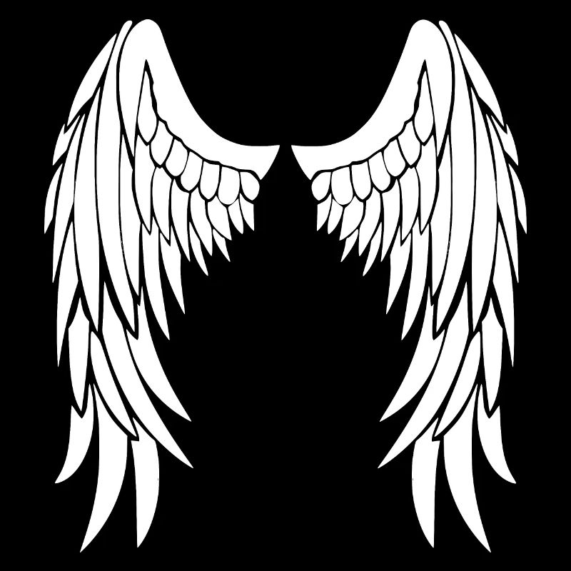 ailes d'anges
