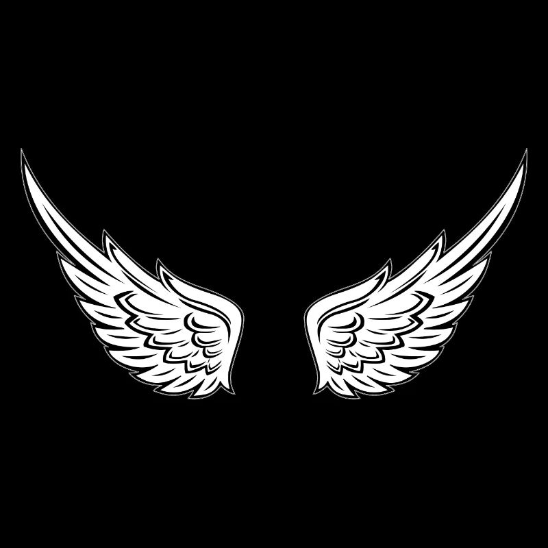 ailes d'anges