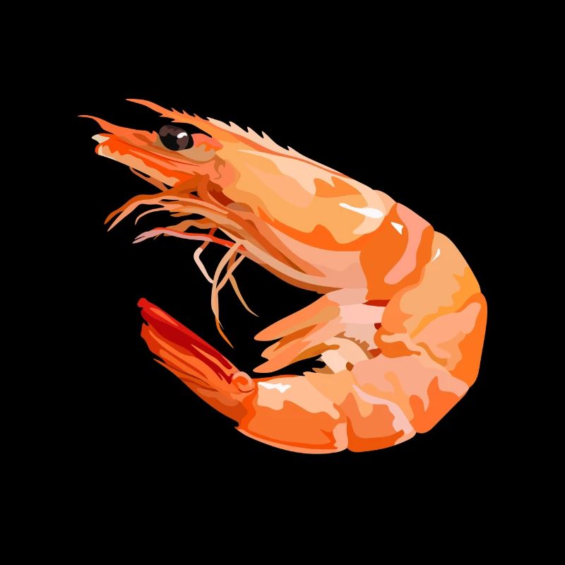 Shrimp - shrimp