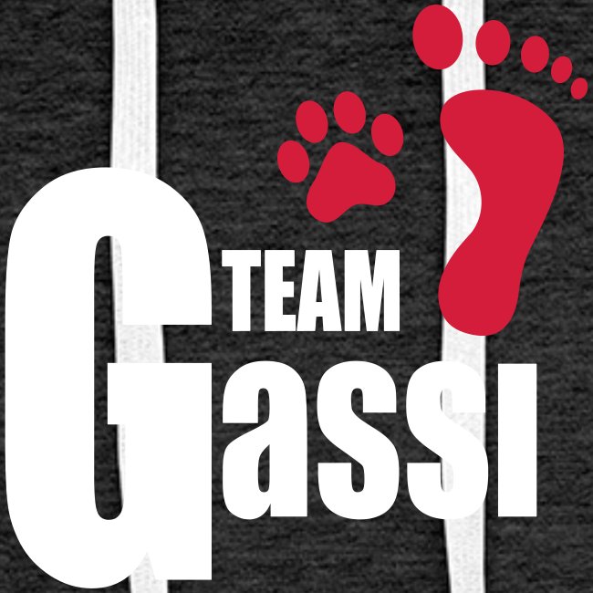 Team Gassi - Männer Premium Hoodie