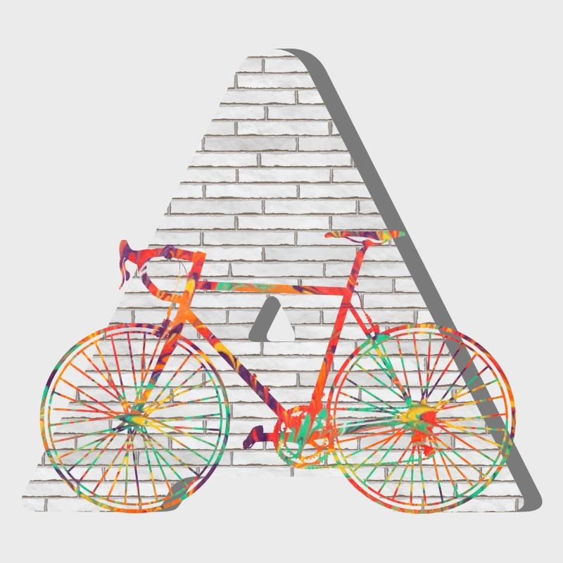 fahrrad e 249 a