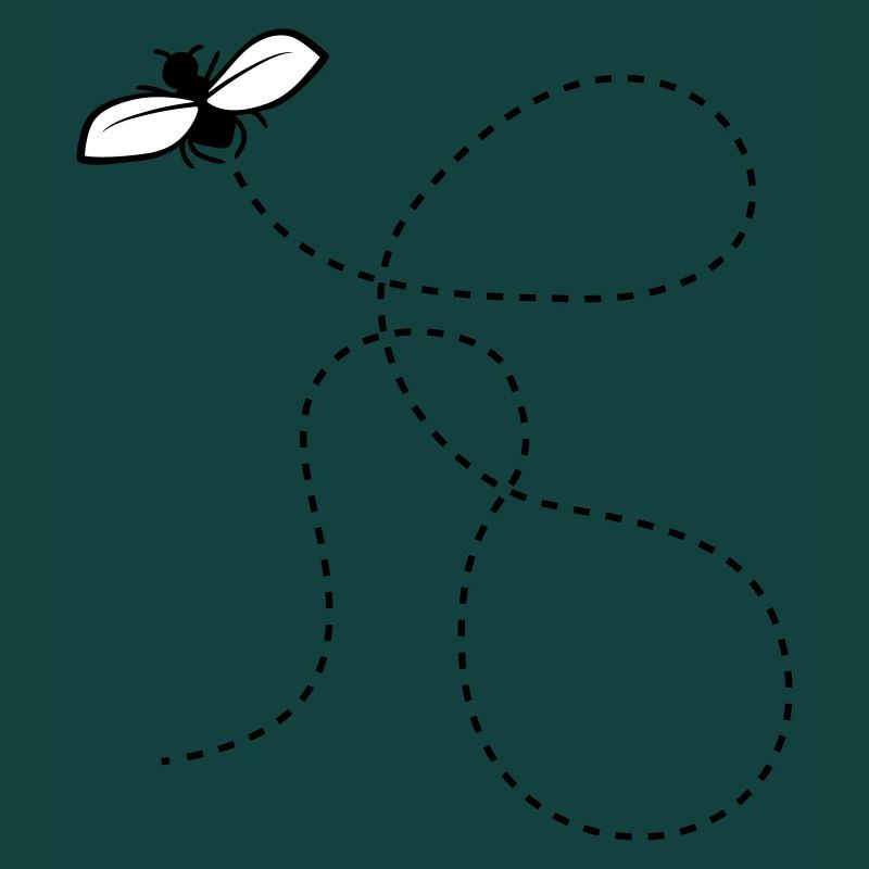 Dashed Line Fly
