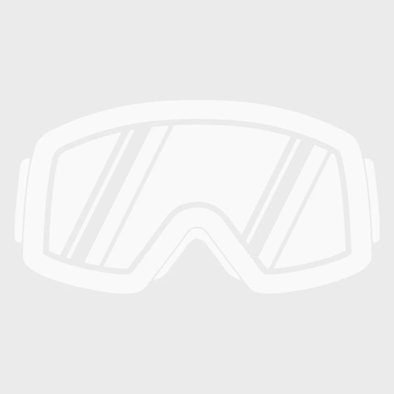 Ski goggles