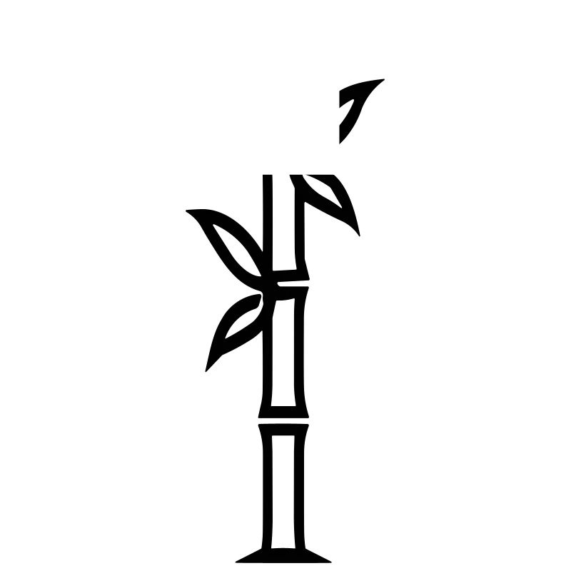 bamboo