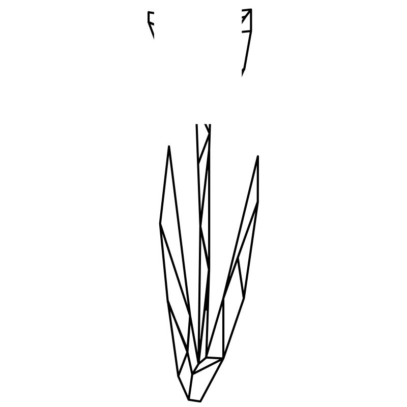 Polygone de tulipe