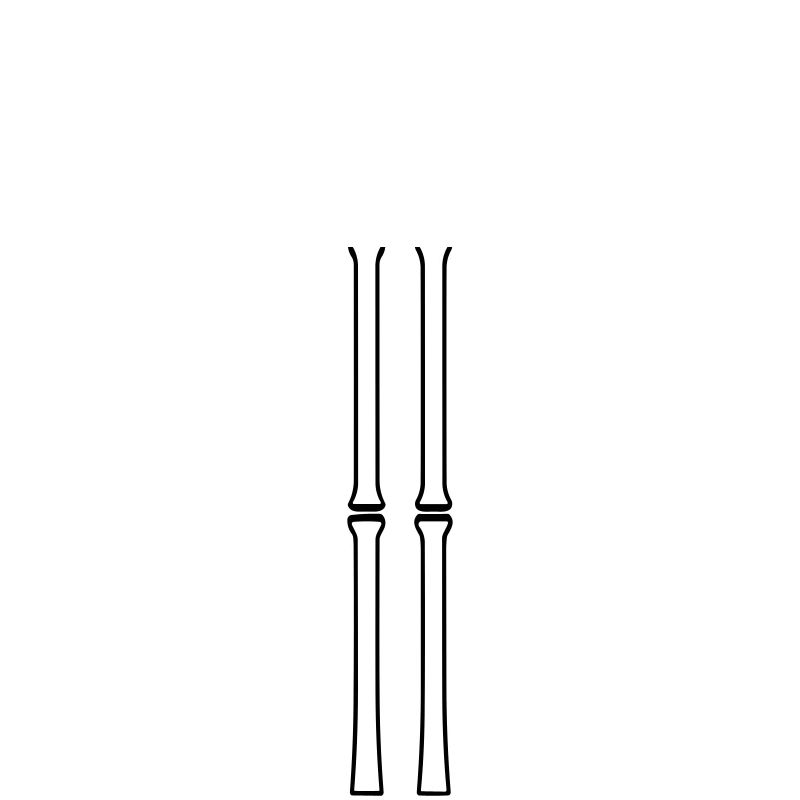 bamboo