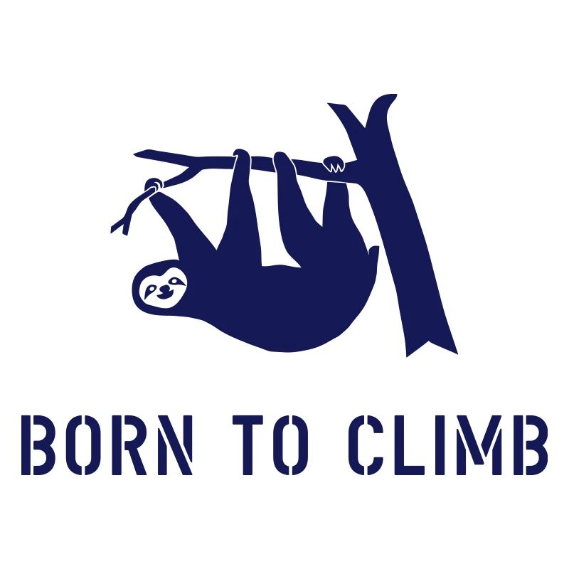 climbing boulder mountain sloth born to climb