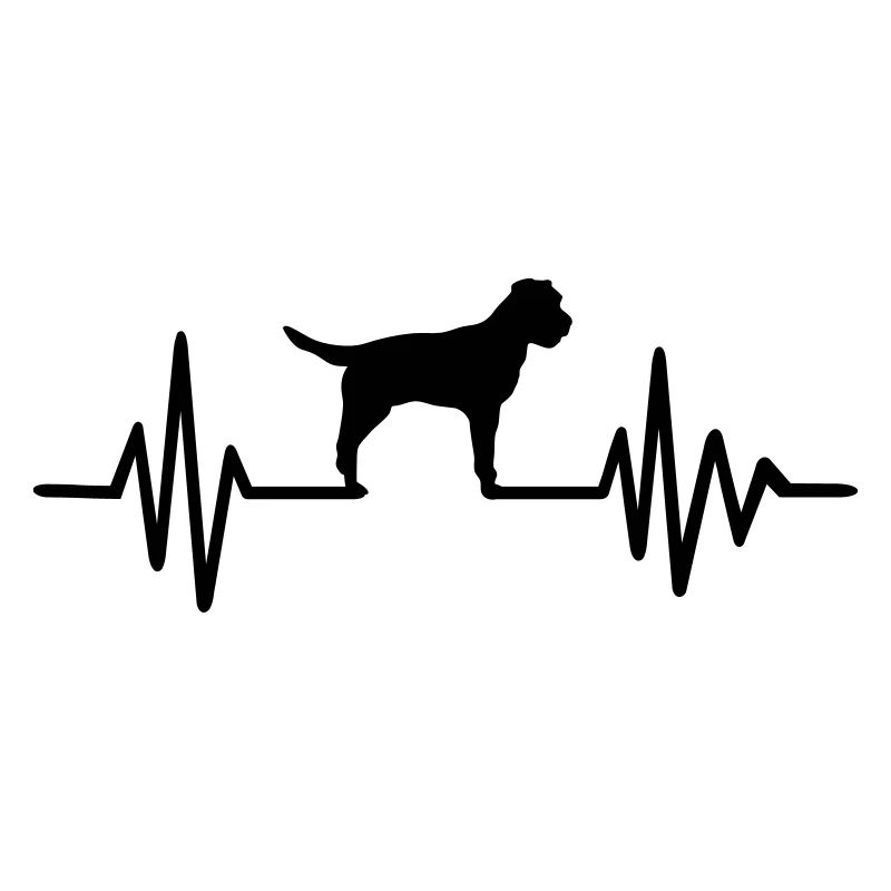 Border Terrier