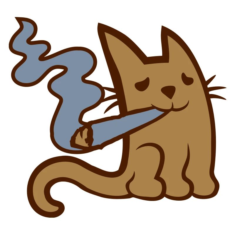 Fumer du pot mignon petit chat