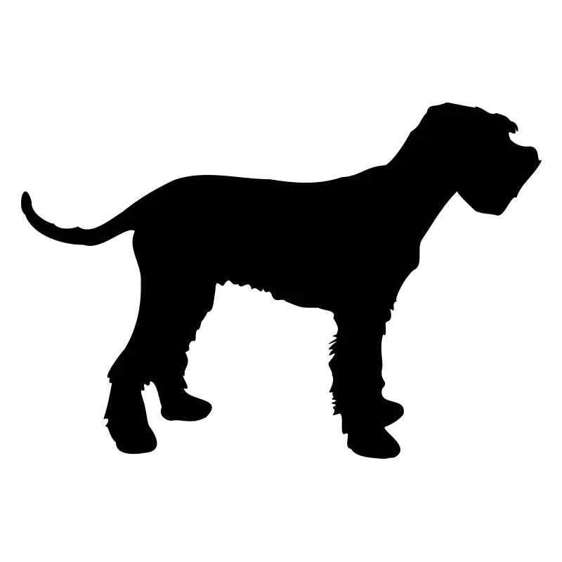 schnauzer géant