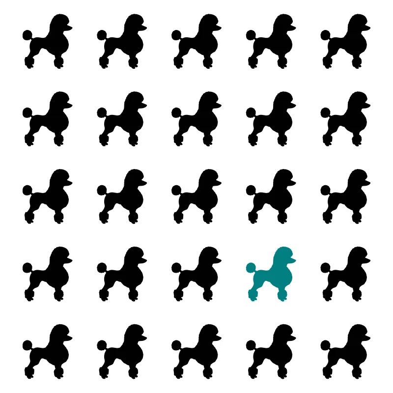 Caniche - être différent