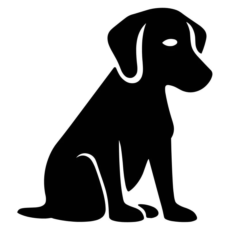 Chien