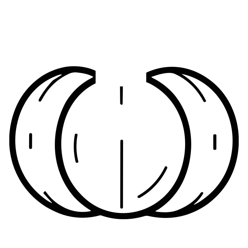 citrouille