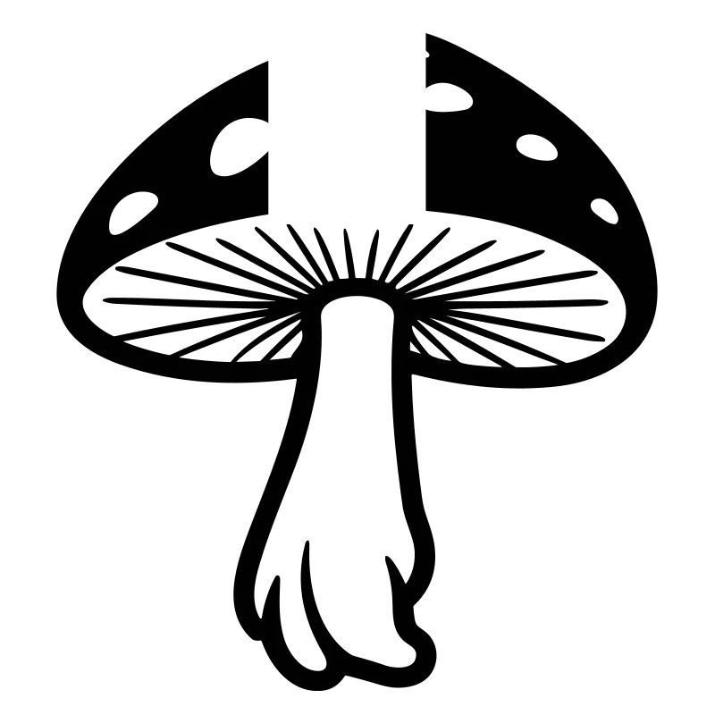 champignon