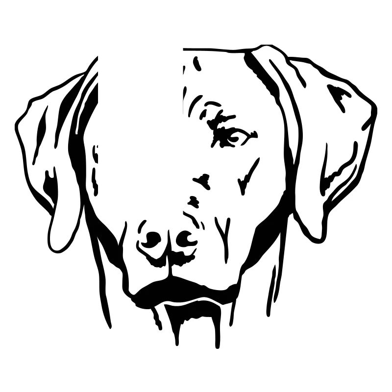 Rhodesian Ridgeback