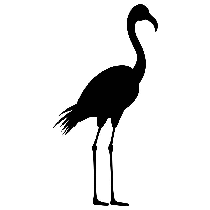 Flamant rose