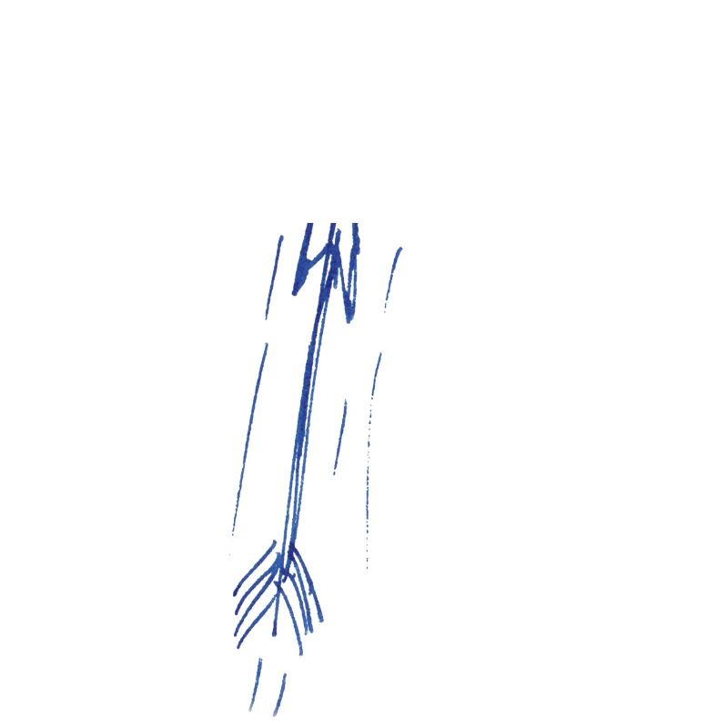 arrow for white