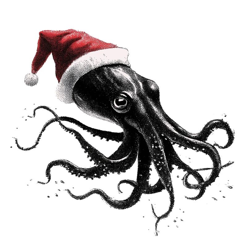 Weihnachtskrake mit Weihnachtsmütze