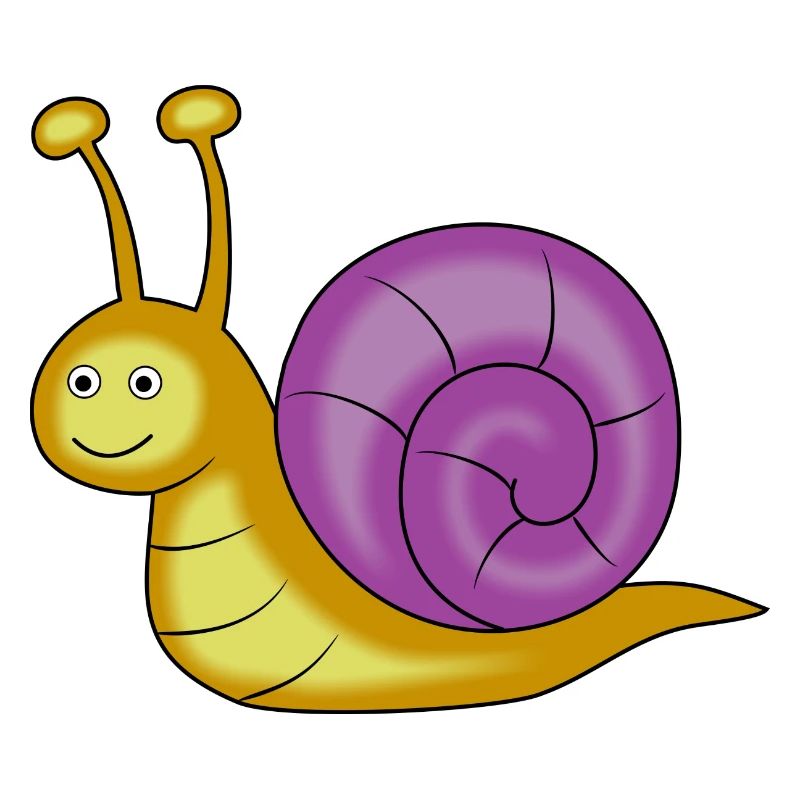 snail