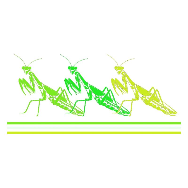 Mantis Gottesanbeter Gottesanbeterin