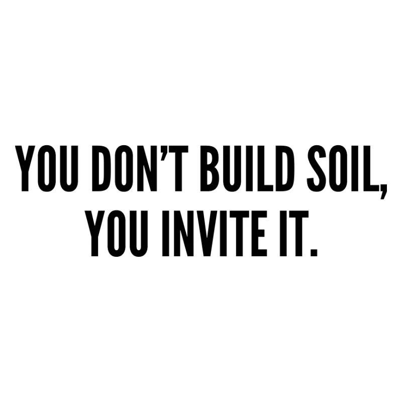 Sol 2